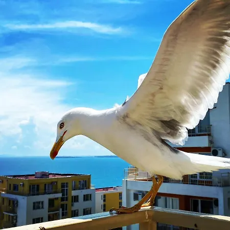 Apartment Sea View Panoramic Apartments, Fort Noks Crown Club *